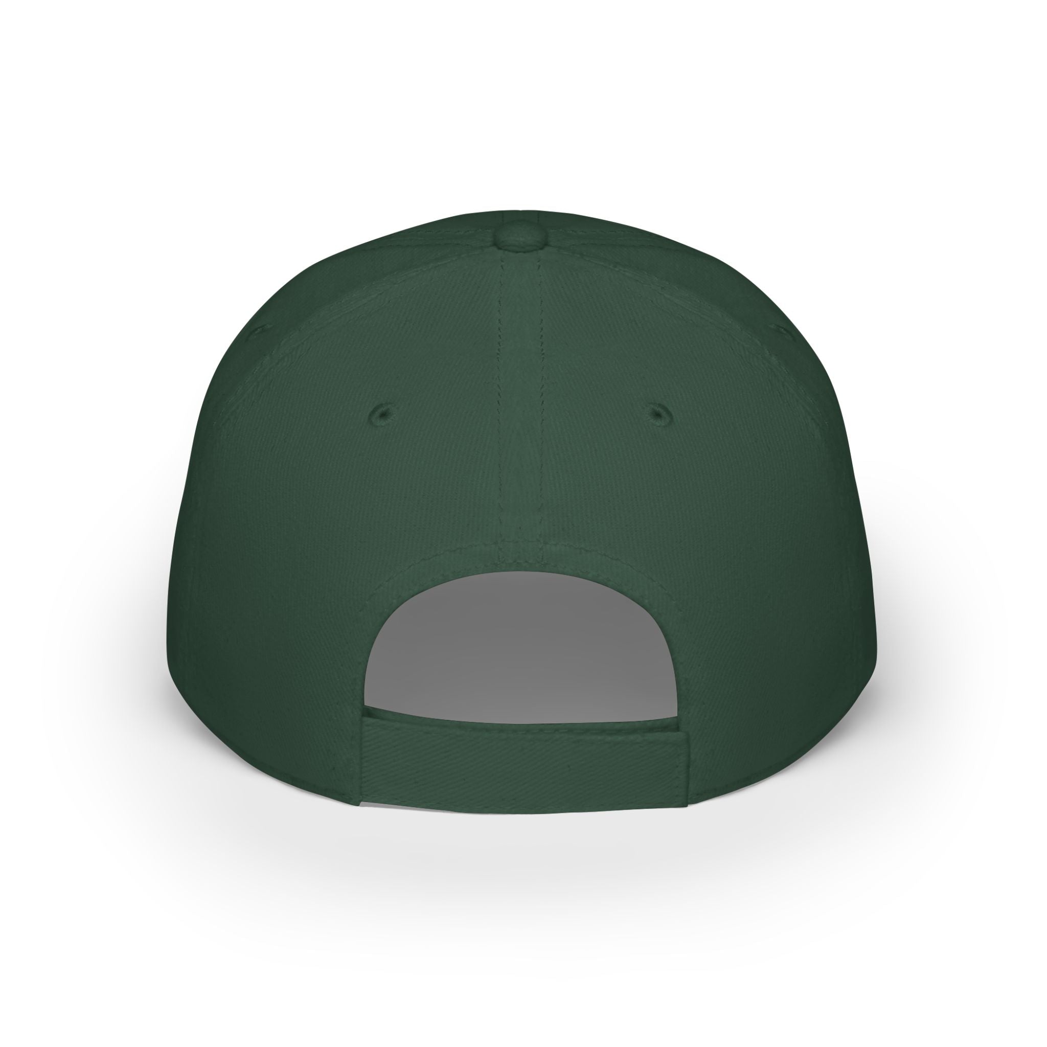 DTL Logo Baseball Cap