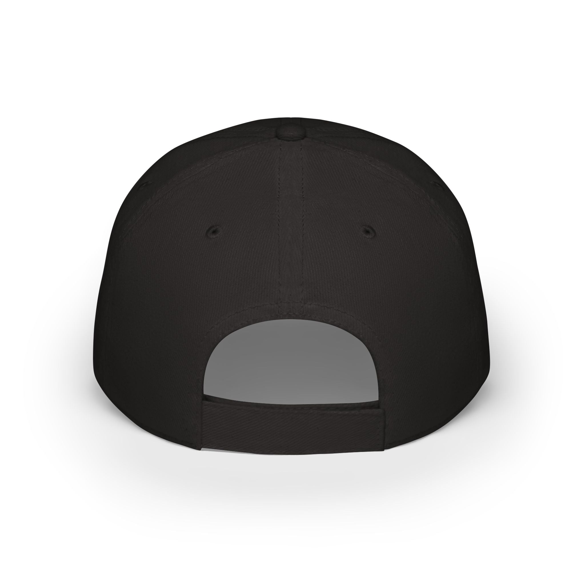DTL Logo Baseball Cap